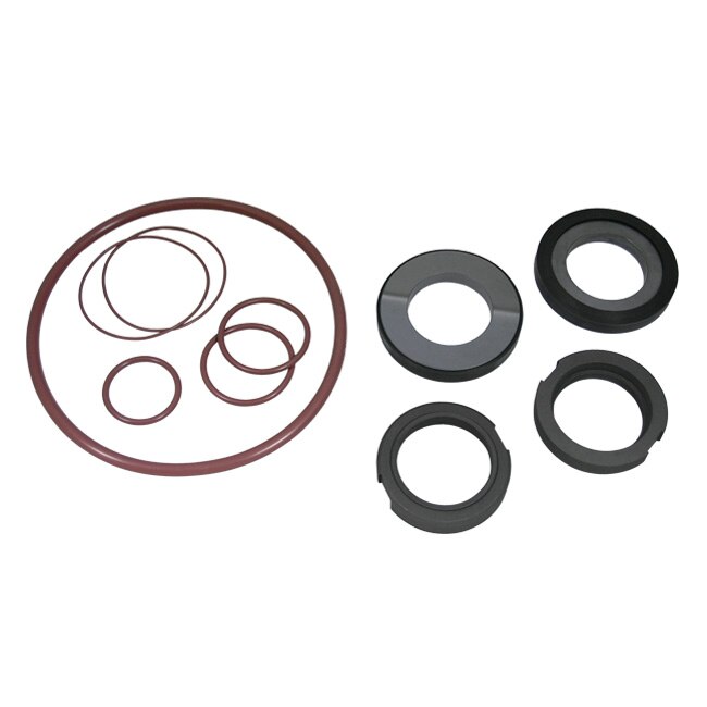 309-254 Seal Kit for WCB Model 2065 Pumps | Austenitex